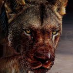 la-lionne-apres-son-repas