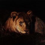 la-lionne-au-repos