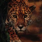 le-leopard