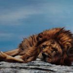 le-lion