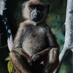 le-macaque